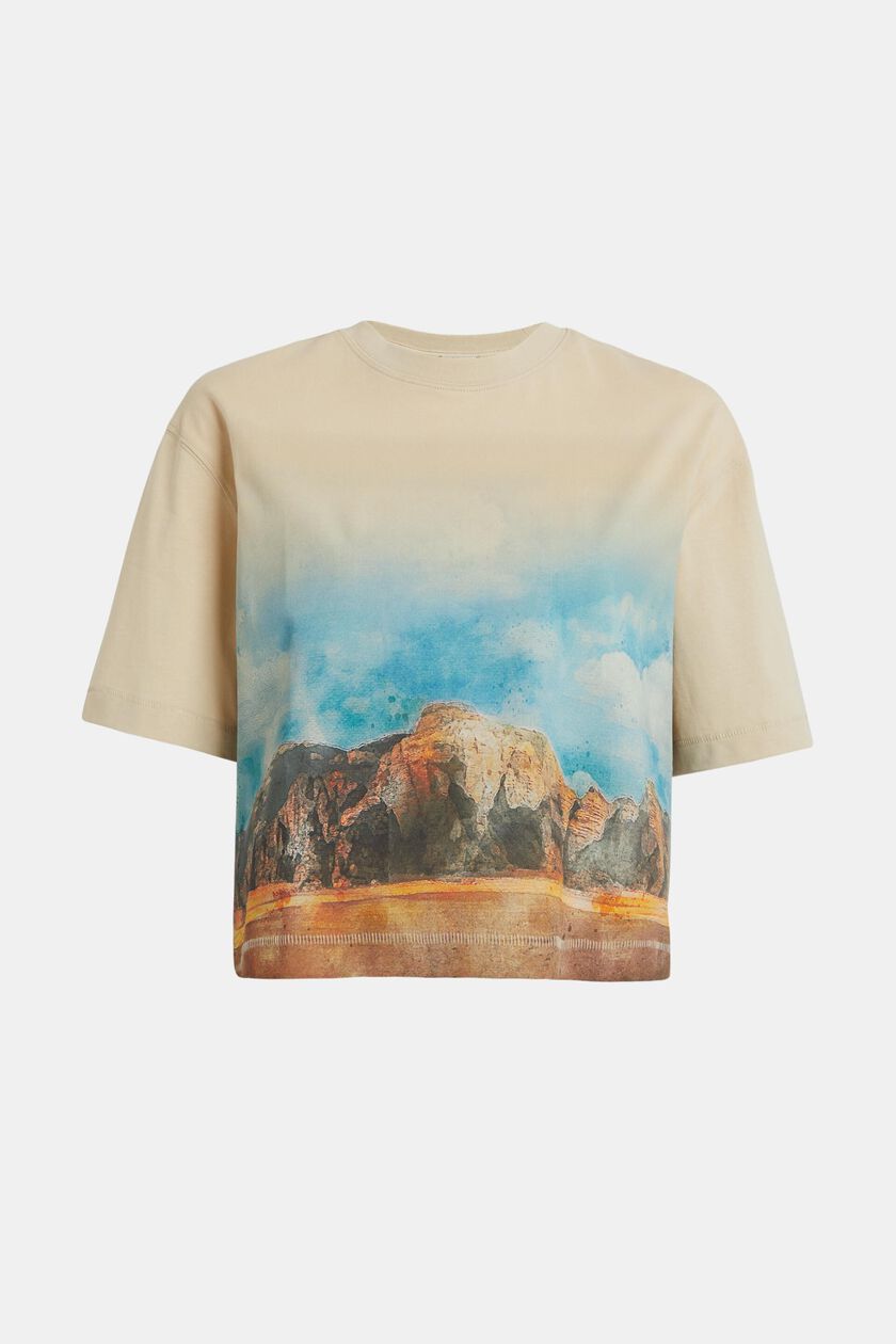 Front panel gradient landscape print cropped tee