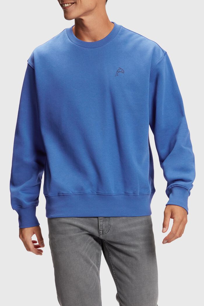 Color Dolphin Sweatshirt, BRIGHT BLUE, detail image number 0