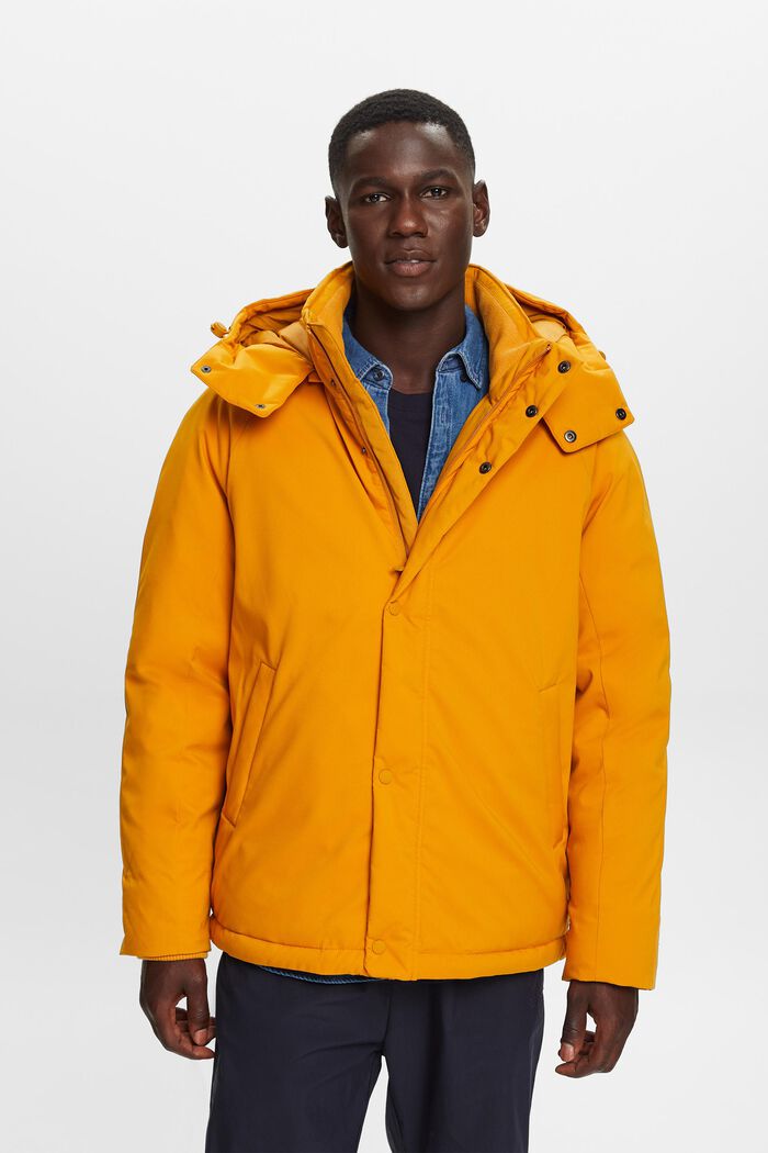 Hooded Down Coat, HONEY YELLOW, detail image number 2